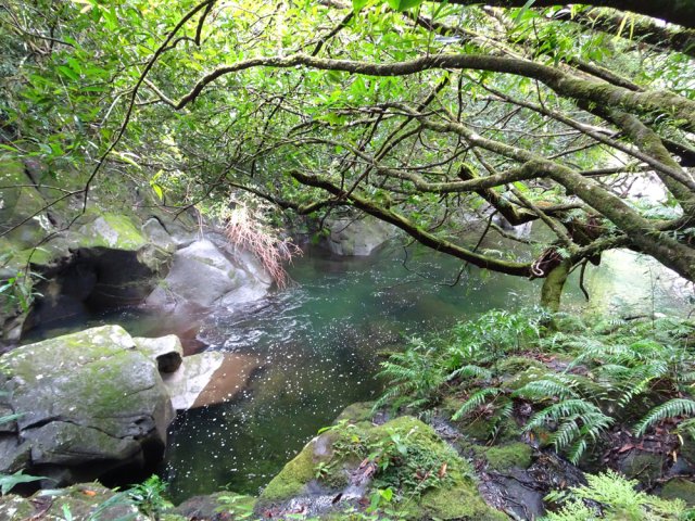 Début d'une série de bassins souvent profonds