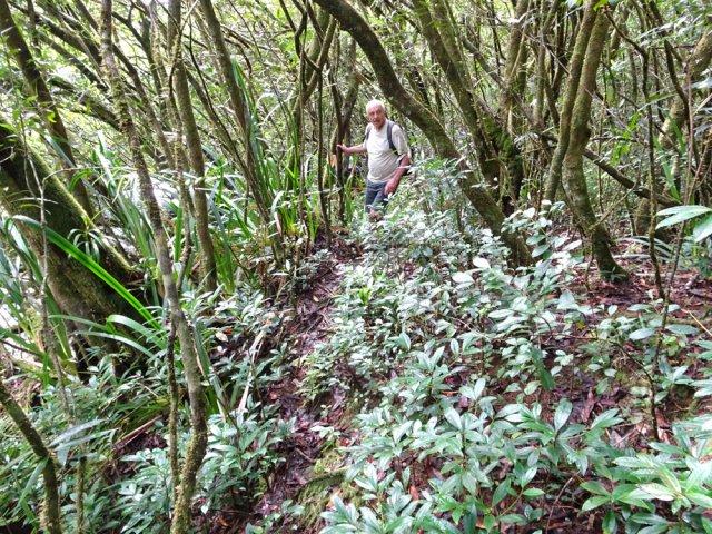 Le sentier n'est pas toujours aussi facile à suivre