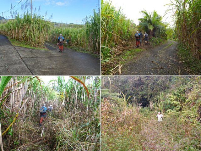 Pistes abandonnées et embroussaillées pour rejoindre le sentier