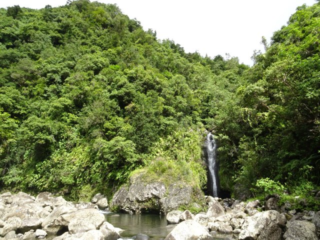 Un affluent du Bras des Lianes termine sa course en cascade