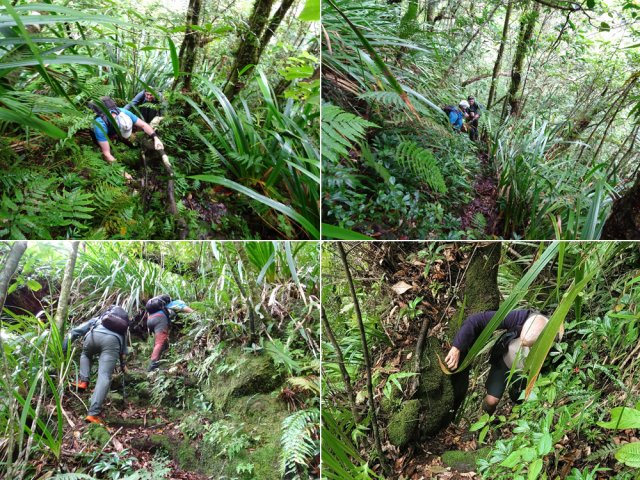 La remontée vers Bellevue les Hauts est très sportive