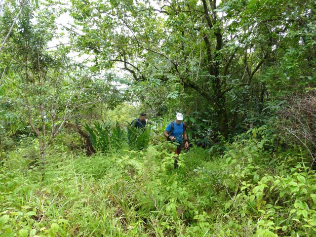 Les 300 derniers mètres sont une véritable aventure