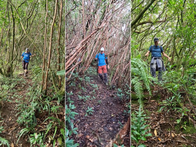 Très agréable sentier bien marqué et assez peu envahi