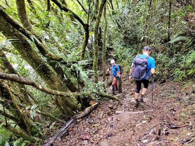 Fortes pentes bien aménagées