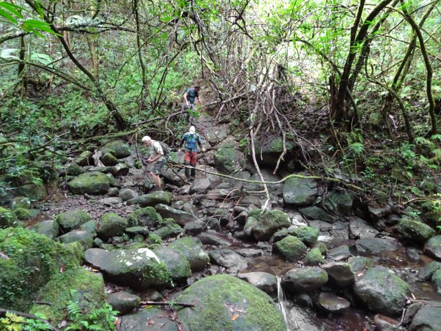 Plusieurs traversées de ravines tout au long de la descente