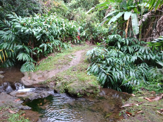 Le sentier se termine près de la petite chute de la boucle des cascades