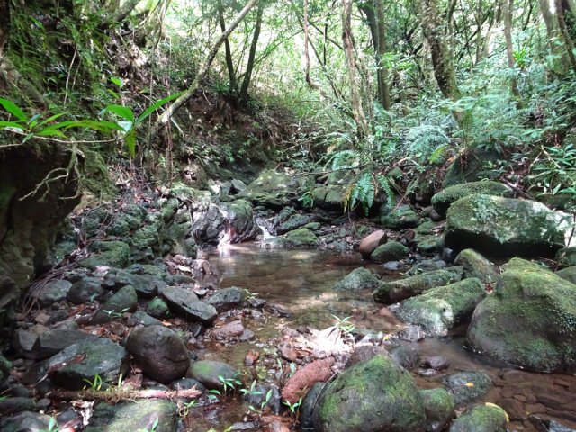Préférer cette remontée lorsque le niveau d'eau est bas