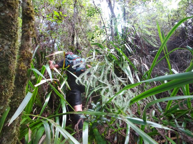Une grimpette glissante pour un nouveau contournement de cascade