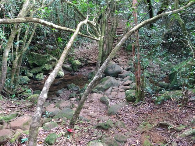 Au gué de la Ravine Batardeau, attaquer la remontée sur les galets