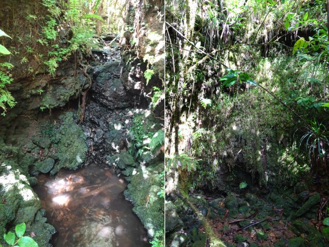 Celui de gauche se grimpe mais celui de droite se contourne par la forêt