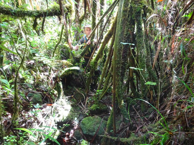 Seuls quelques cailloux indiquent encore un passage de ravine
