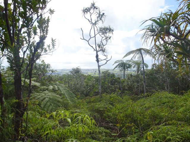 Plus à gauche, panoramas sur Saint-Benoit et Sainte-Anne