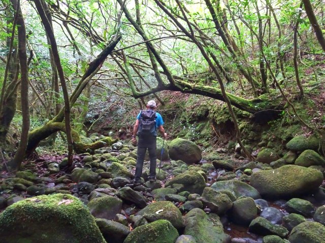 C'est parti pour près de cinq heures de galets moussus