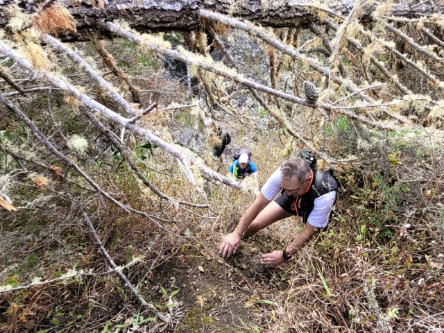 Quelques portions assez raides pour atteindre le GRR1