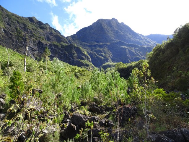Une idée de la vallée du Bras des Etangs en direction de la source