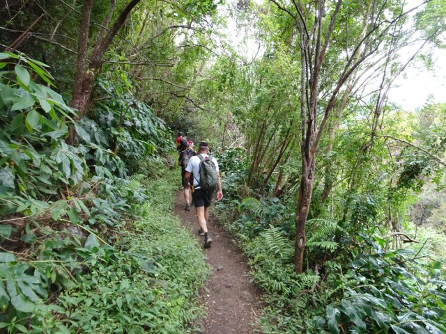Le retour depuis le gué du GRR1 est une balade après tous ces efforts