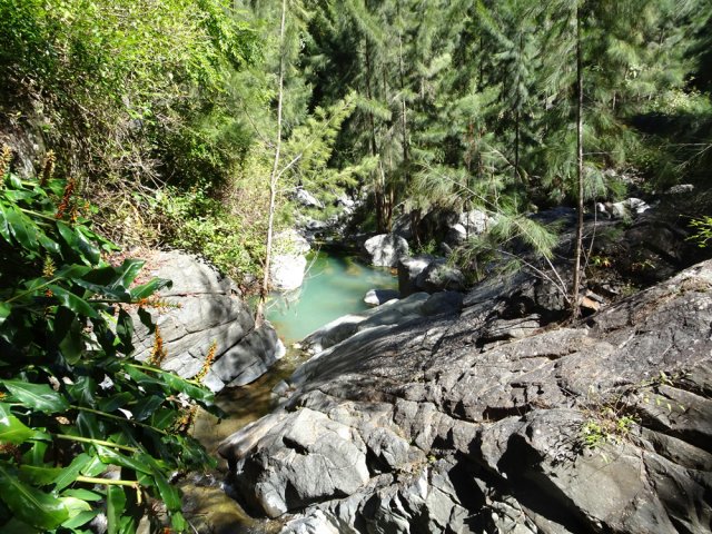 On rejoint le lit du bras en amont d'un bassin