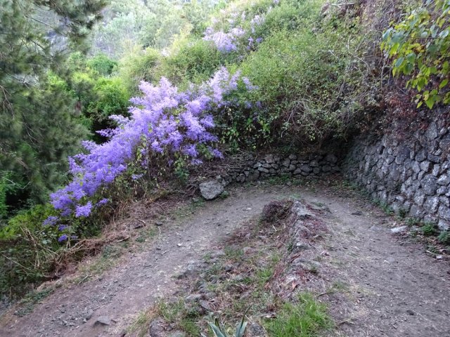 Les premiers lacets du Sentier des Porteurs