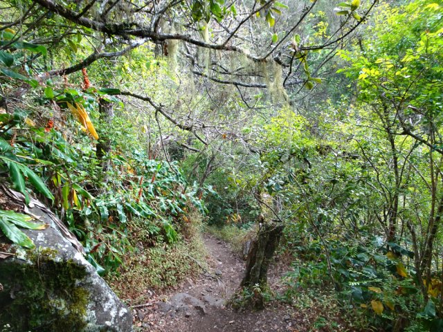 On rejoint le GRR1 après une forte montée en sous-bois
