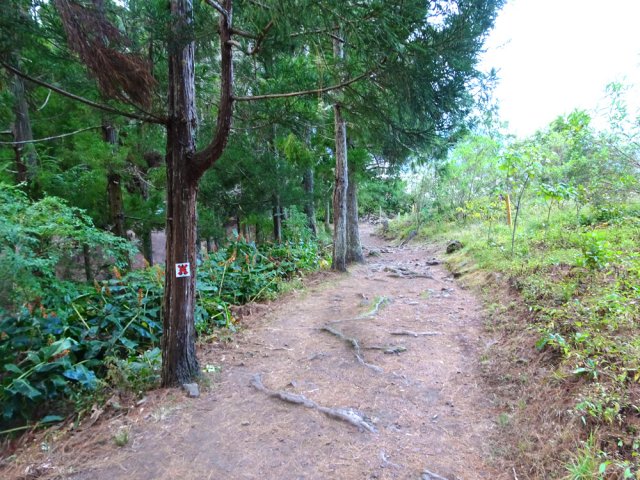 Le large sentier proche de la piste et de l'aire de repos