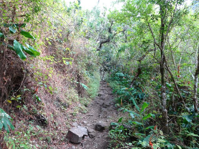 La suite s'effectue en descente, facilement malgré les pierres