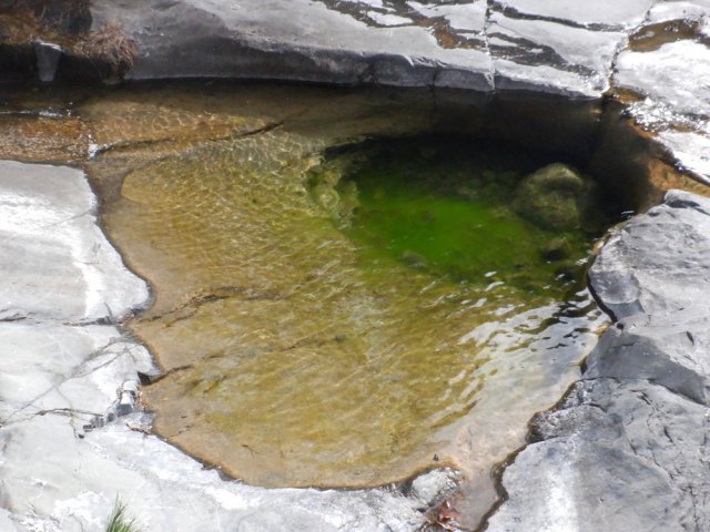 Plusieurs petits bassins occupent la large plaque basaltique