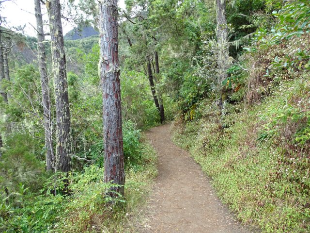 Le GRR1 en direction du gué du Bras des Etangs