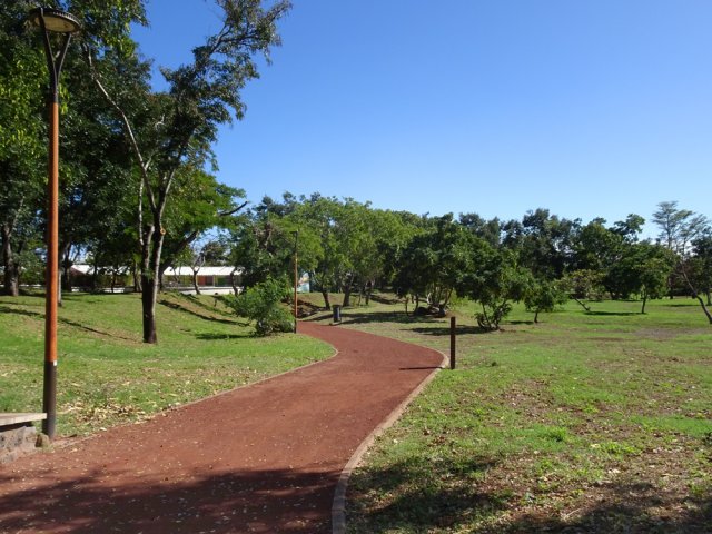 La pelouse, verte en hiver, jaunit très vite dès le mois de novembre