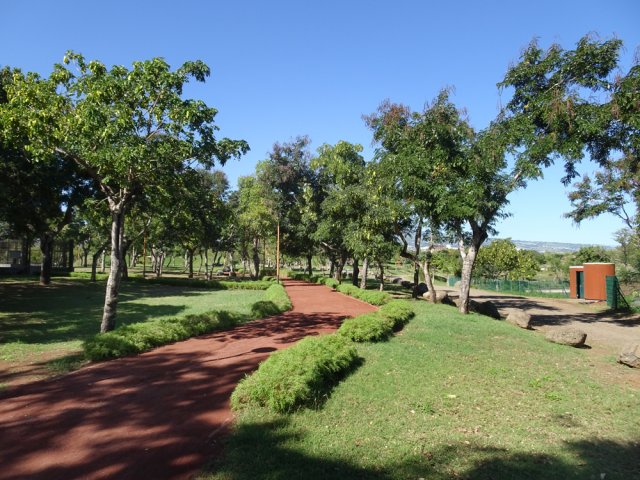 La piste est bordée de bambous nains