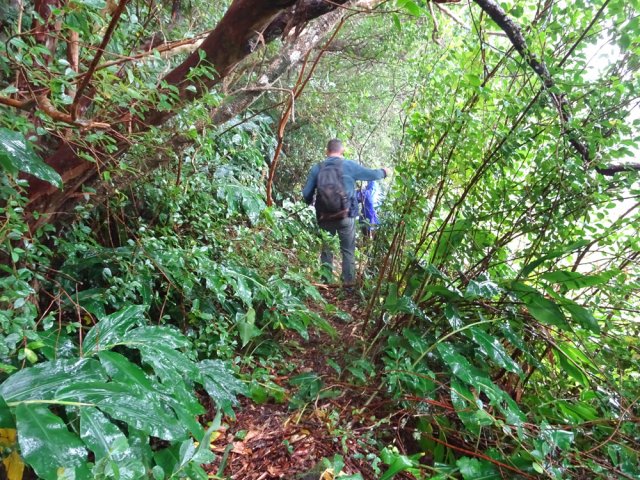 Le sentier est étroit mais ne se perd pas des yeux