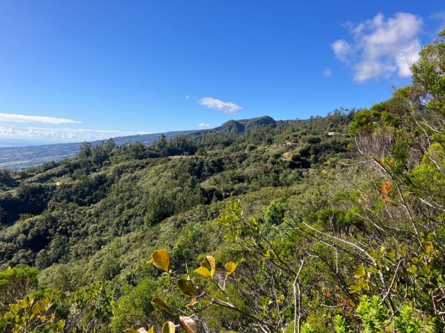 Point de vue sur la vallée de la Ravine Boucan Launay et sur le Pic Adam