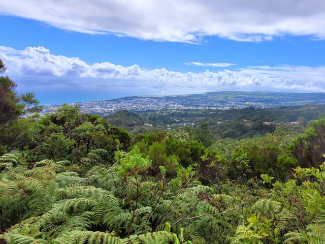 Larges points de vue sur Sainte-Marie et Sainte-Suzanne depuis le Piton du Butor