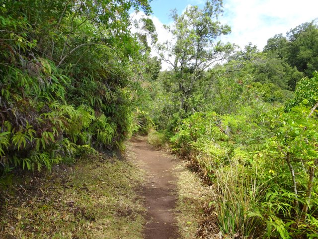 Reprendre ensuite le sentier descendant vers la Comète