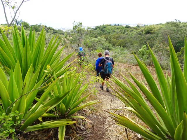 Aucune difficulté pour cette descente sur sentier et piste
