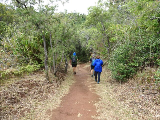 Véritable piste passant par une aire de jeux et de repos