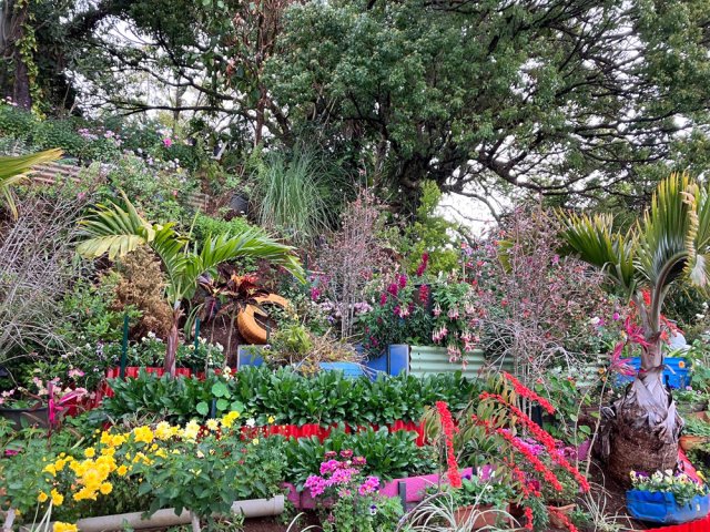 Beaucoup de travail pour entretenir ce parterre fleuri proche d'une case