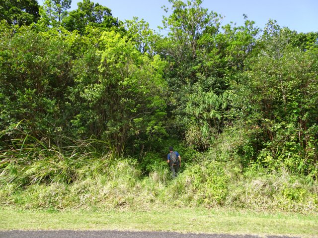 Le départ du sentier du Piton de Balmann
