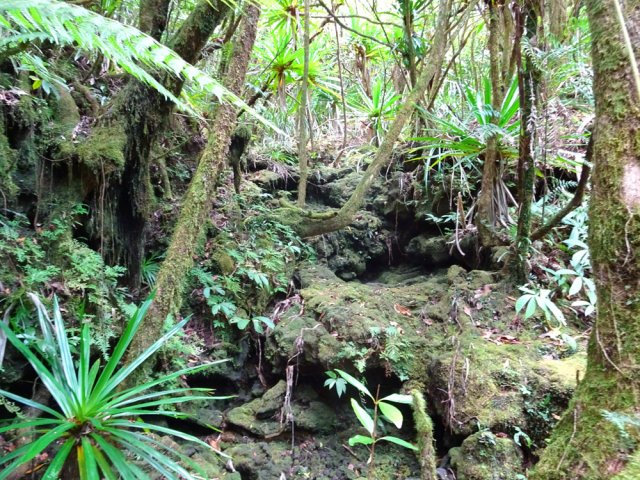 On traverse une belle ravine moussue non marquée sur la carte