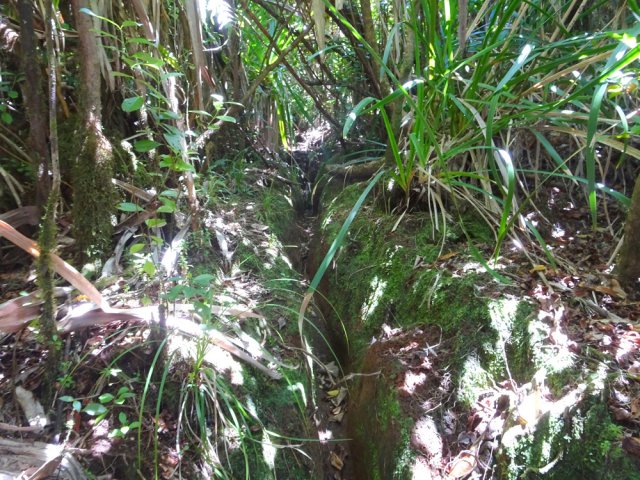 Sentier très étroit creusé dans la glaise boueuse
