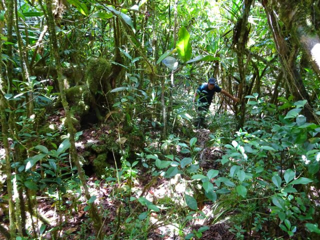 La trace devient plus aléatoire et la pente s'accentue