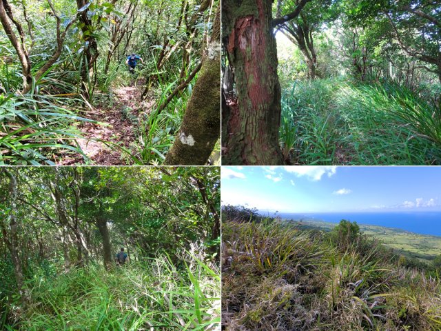 Forte montée avant d'arriver au plateau et au point de vue
