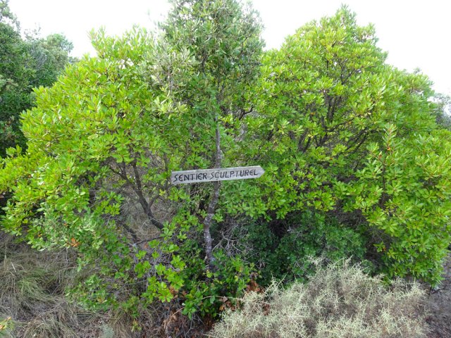 Quitter la piste pour emprunter le sentier partant sur la gauche