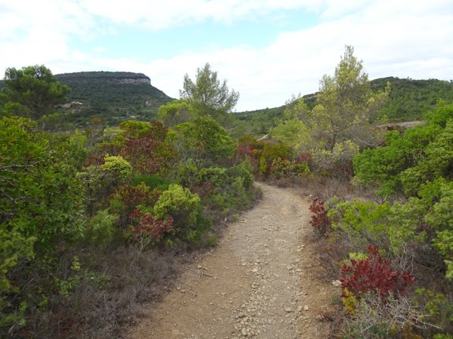 Le sentier devient caillouteux
