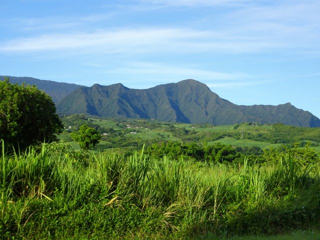 Le Morne du Bras des Lianes paraît proche depuis la RD48-1