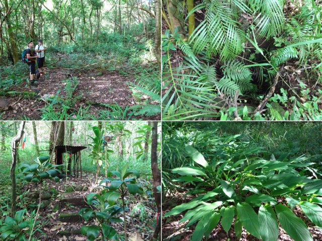 Trois écarts pour trois îlets oubliés. Attention au puits (Vignette 2)
