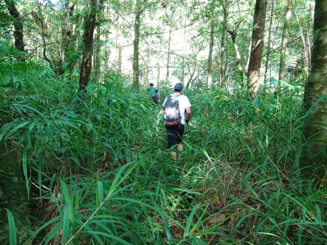 Sentier en rive droite dans les hautes herbes