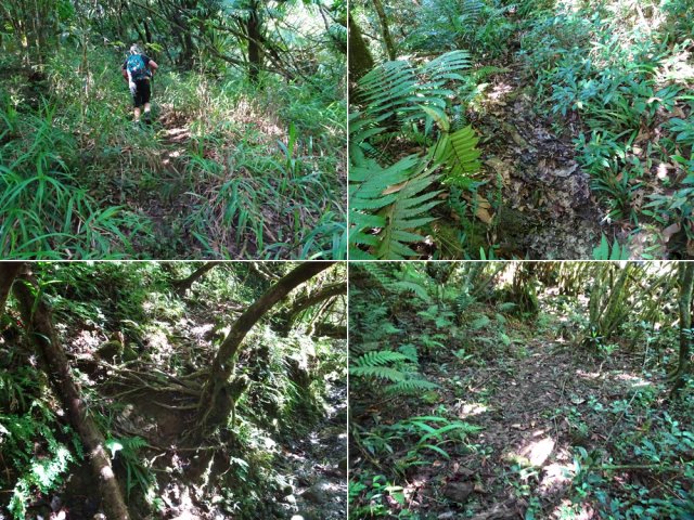 Les sentiers sont très variables mais toujours visibles pour qui a l’œil exercé