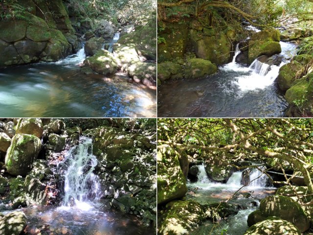 Très peu de chutes mais toujours le bruit agréable de l'eau