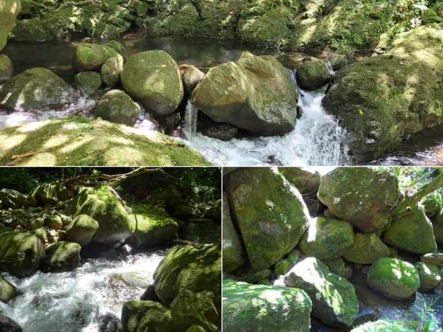 La ravine au fond rocheux et moussu toujours agréable à suivre