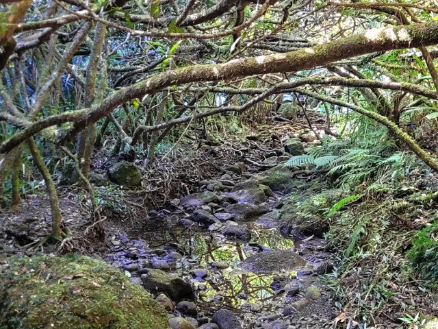 Il faut parfois emprunter de courts tronçons de minuscules ravines